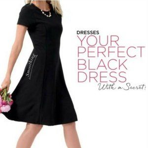 Ruby Ribbon Fit and Flare Dress in Black Size Sma